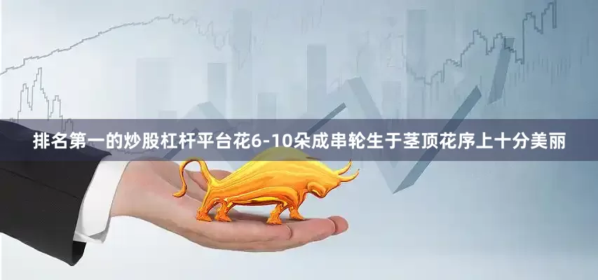排名第一的炒股杠杆平台花6-10朵成串轮生于茎顶花序上十分美丽
